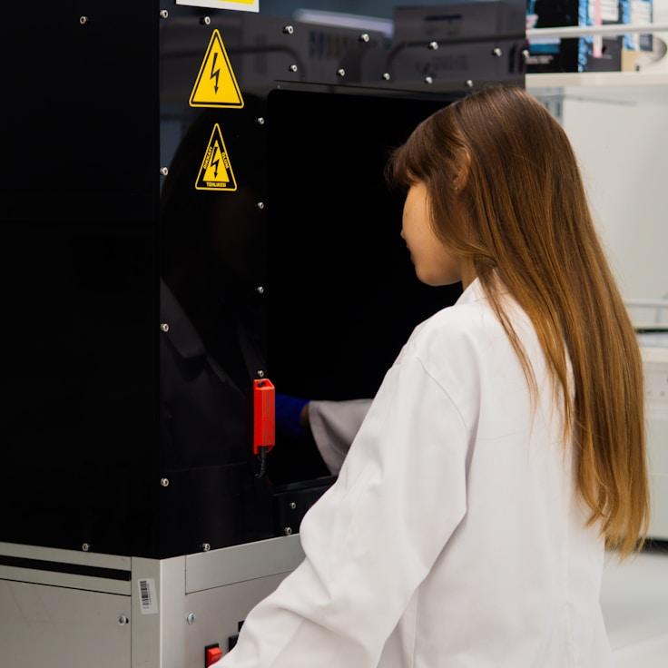 Web app development workspace